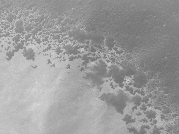 Picture of 13C target after irradiation with SEM at 100x magnification