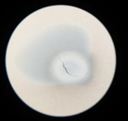Photo of CeO2 Target "T1" after irradiation at IFIN-HH (magnified)