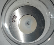 Photograph of CeO2 Target "T8" after the first irradiation with ~1pμA.