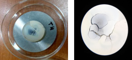 Photograph of CeO2 Target "T14" without magnification (left) and under a microscope (right).